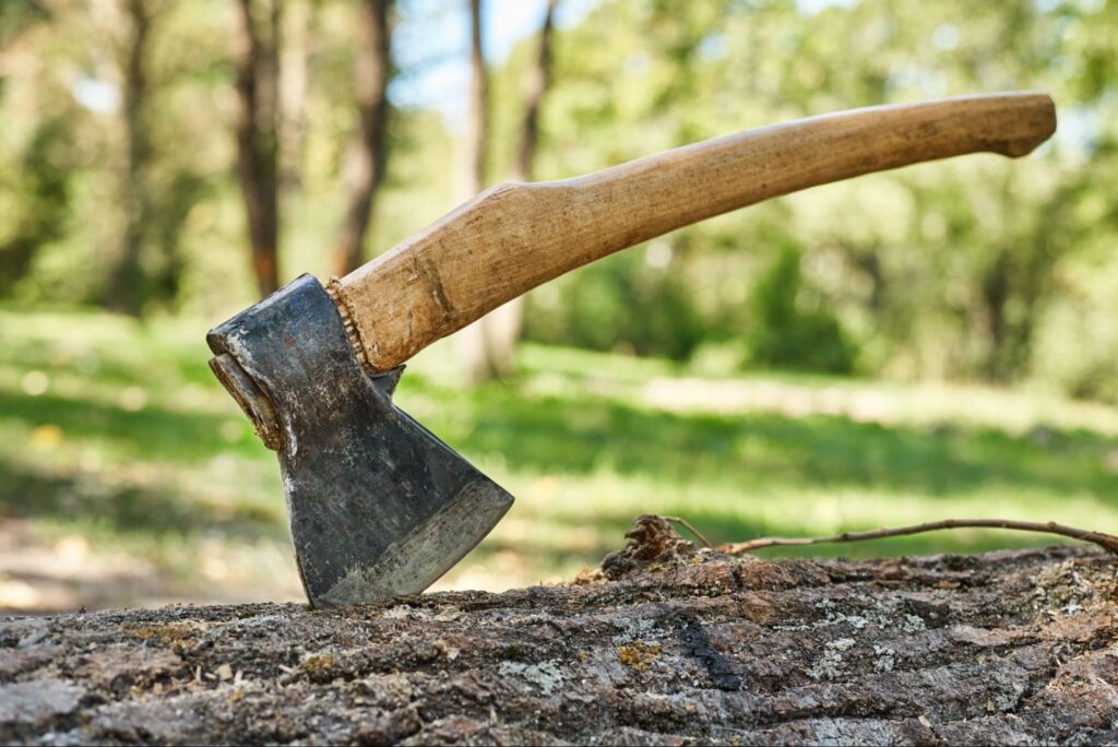 Axe in a piece of wood.