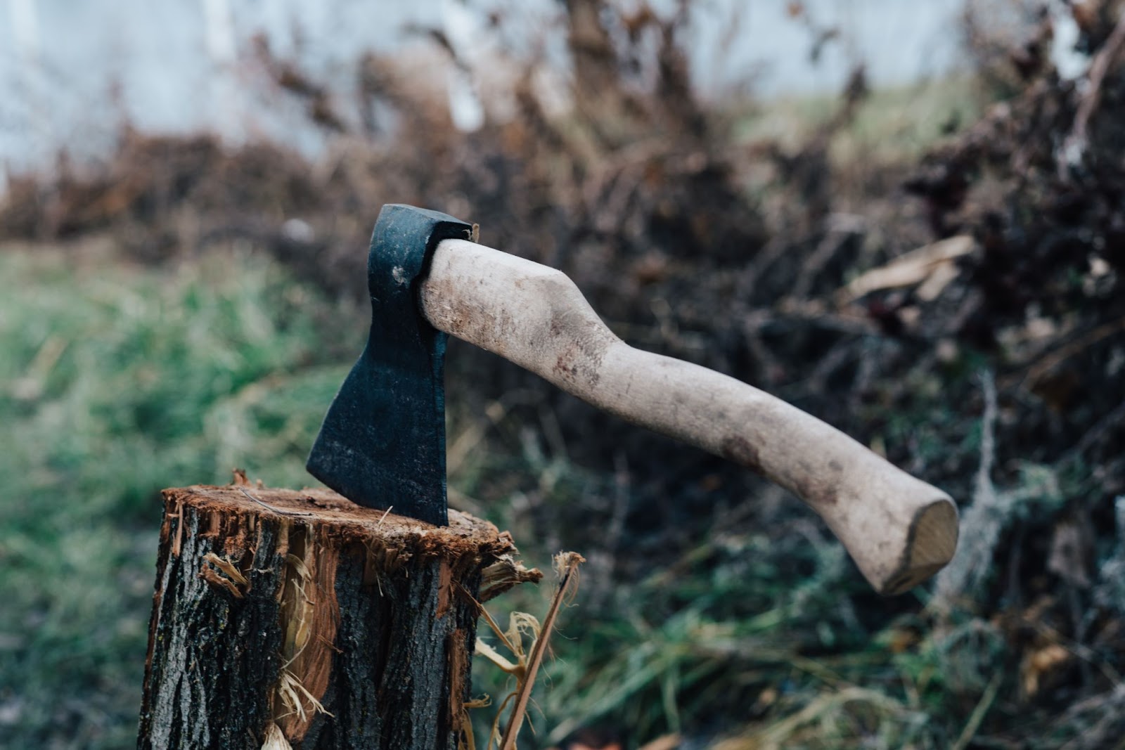  Axe in a piece of wood. 